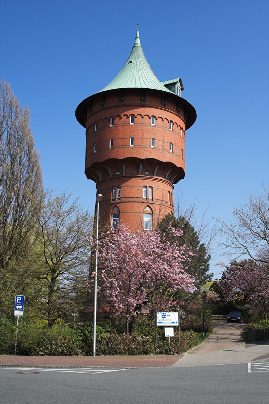 Cux16FC.jpg - Backsteinturm mit Frühlingsblüte