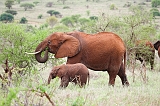 Kenia_2011-(156)