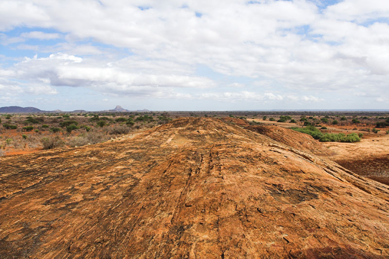 Kenia_2011-(81).jpg - Mudanda Rock. Ein über ein Kilometer langer Monolith mitten in der Savanne.