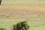 Kenia_2011-(38)