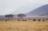 Kenia_2011-(59)