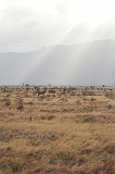 Kenia_2011-(62)