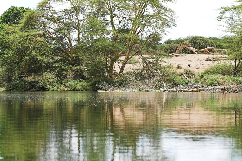 Kenia_2011-(89).jpg - Becken an der Quelle des Mzima.