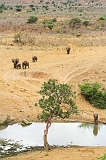 Kenia_2011-(104)