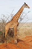 Kenia_2011-(114)