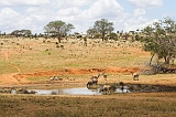 Kenia_2011-(98)