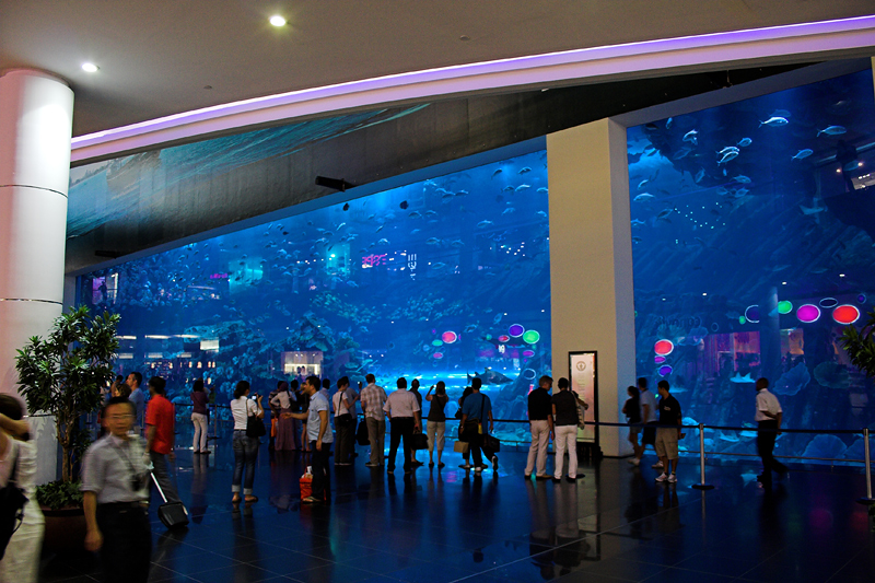 dubai01.jpg - Ein Aquarium im Einkaufszentrum - und was für eines... The Mall of Dubai.